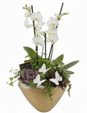 The Orchid Luxe Arrangement - Flowers Box London