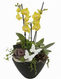 The Orchid Luxe Arrangement - Flowers Box London