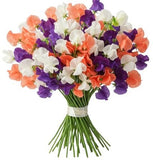 Three Colours Sweet Pea Bouquet - Flowers Box London