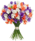 Three Colours Sweet Pea Bouquet - Flowers Box London
