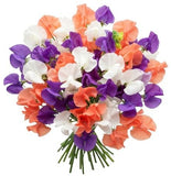 Three Colours Sweet Pea Bouquet - Flowers Box London