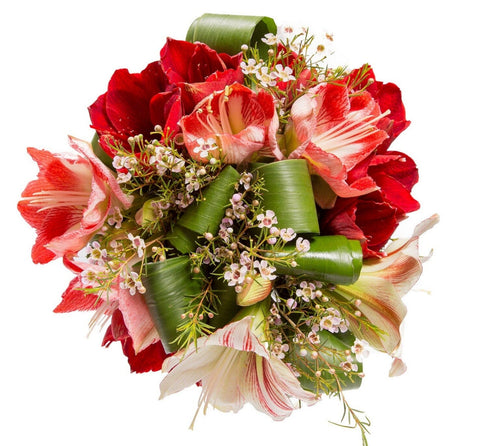 Three Shades of Amaryllis Bouquet