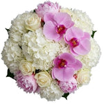 Timeless Elegance in Bloom Bouquet - Flowers Box London