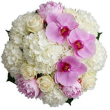 Timeless Elegance in Bloom Bouquet - Flowers Box London