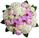 Timeless Elegance in Bloom Bouquet - Flowers Box London