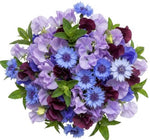 Touch of the Garden - Sweet Pea and Cornflowers Bouquet