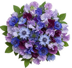 Touch of the Garden - Sweet Pea and Cornflowers Bouquet