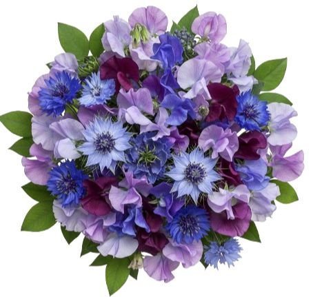 Touch of the Garden - Sweet Pea and Cornflowers Bouquet - Flowers Box London
