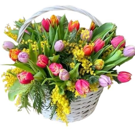 Trio Tulips with Mimosa Basket - Flowers Box London