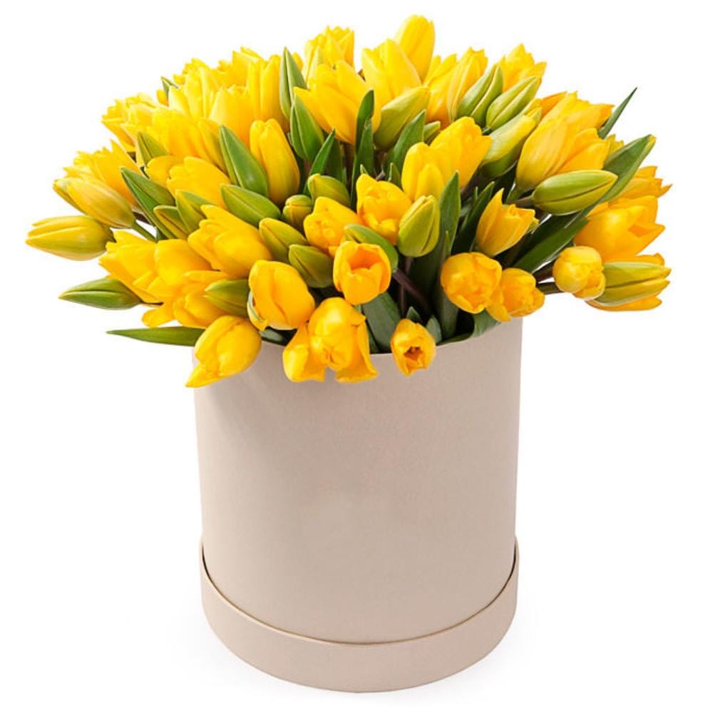Tulips in a Box - Nationwide Delivery & Same-Day London Service ...