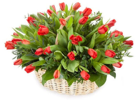 Tulips with Greenery Basket - Flowers Box London