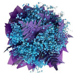 Turquoise Gypsophila with Purple Leaves Box