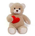 Valentines Bear Plush 50cm