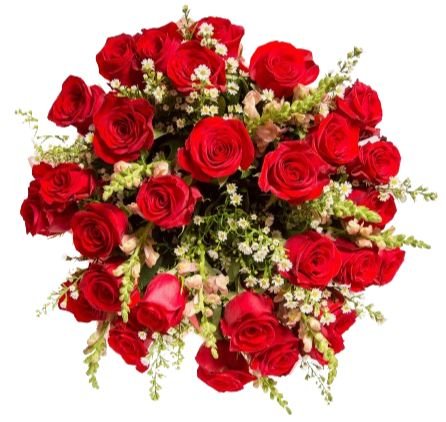 Velvet Dreams Bouquet Bouquet - Flowers Box London