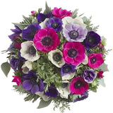 Vibrant Anemone Bouquet - Flowers Box London