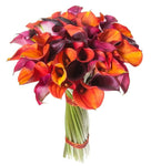 Vibrant Calla Lily Bouquet - Flowers Box London