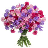 Vibrant Sweet Peas Bouquet - Flowers Box London
