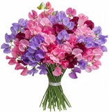 Vibrant Sweet Peas Bouquet