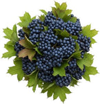 Viburnum Blueberries Hill Bouquet