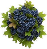 Viburnum Blueberries Hill Bouquet - Flowers Box London