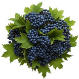 Viburnum Blueberries Hill Bouquet - Flowers Box London