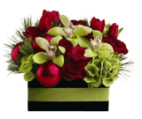 Warm Cozy Christmas Box - Flowers Box London