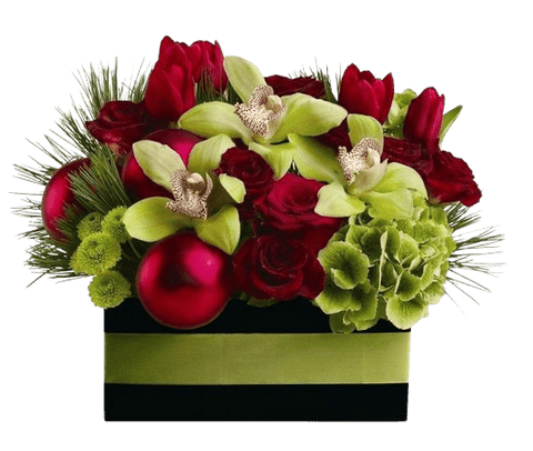 Warm Cozy Christmas Box - Flowers Box London