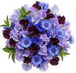 Whispers of Indigo Dreams Bouquet