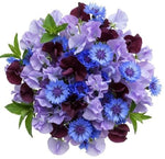 Whispers of Indigo Dreams Bouquet - Flowers Box London