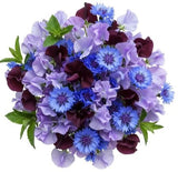 Whispers of Indigo Dreams Bouquet - Flowers Box London