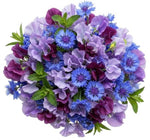 Whispers of Indigo Dreams Bouquet