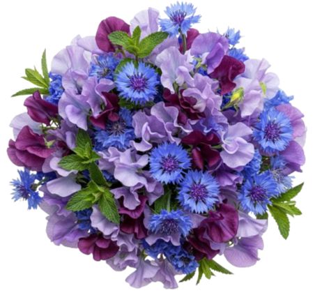 Whispers of Indigo Dreams Bouquet