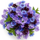 Whispers of Indigo Dreams Bouquet