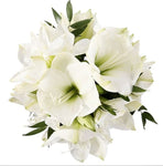 White Amaryllis Bouquet - Flowers Box London