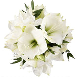 White Amaryllis Bouquet - Flowers Box London