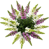 White and Lavender Snapdragons Bouquet - Flowers Box London
