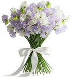 White and Lilac Sweet Pea Bouquet