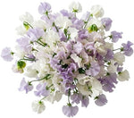 White and Lilac Sweet Pea Bouquet