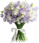 White and Lilac Sweet Pea Bouquet