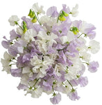 White and Lilac Sweet Pea Bouquet