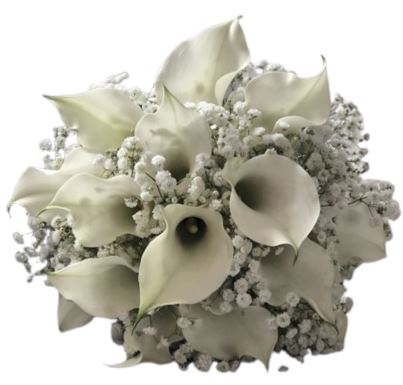 White Calla Lily with Gypsophila Bouquet - Flowers Box London