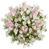 White Campanula with Delphinium Bouquet - Flowers Box London