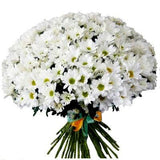White Daisy Chrysanthemum Bouquet