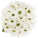 White Daisy Chrysanthemum Bouquet