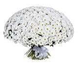 White Daisy Chrysanthemum Bouquet