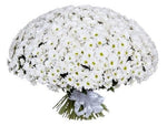 White Daisy Chrysanthemum Bouquet - Flowers Box London