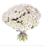 White Daisy Chrysanthemum Bouquet