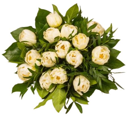 White Double Tulips with Greenery Bouquet
