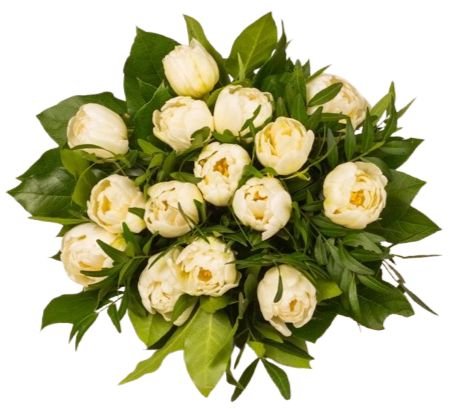 White Double Tulips with Greenery Bouquet - Flowers Box London