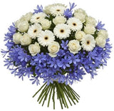 White Flowers in Agapanthus Nest Bouquet - Flowers Box London